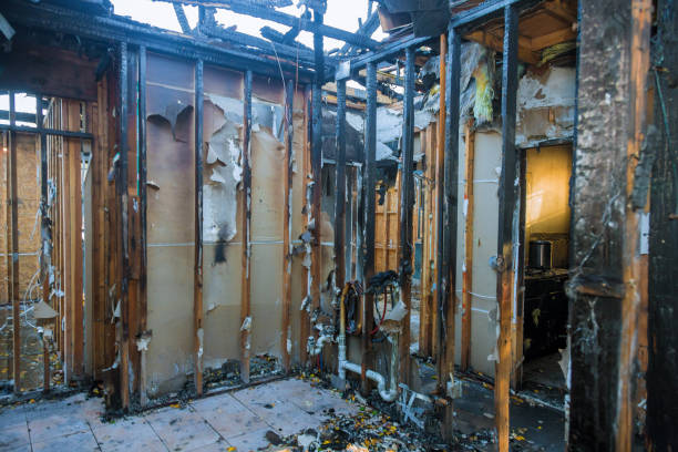 Professional Fire Damage Removal technician working in Paradise Valley, AZ
