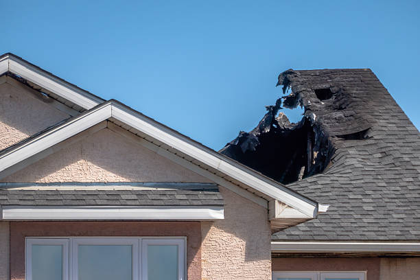 Top rated local Fire Damage Removal specialists in Paradise Valley, AZ